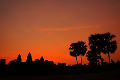 Silhouette of trees at sunset