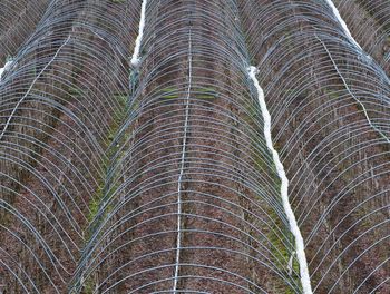 Full frame shot of metal fence