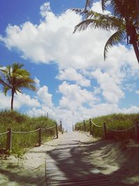Palm trees on footpath against cloudy sky