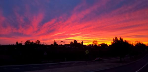 Silhouette trees by road against orange sky