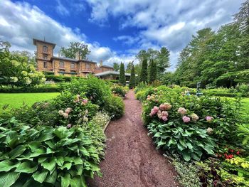 View of flowering plants in garden