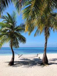 Hammock hanging on palm trees against sea at beach