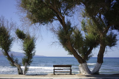 Trees on bench by sea against sky