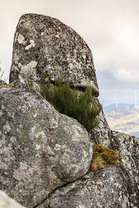 Close-up of cliff by sea against sky