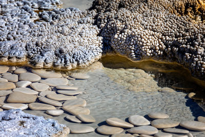 Rocks on beach