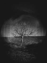 darkness