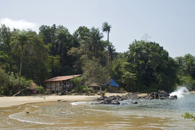 Trees at beach against sky