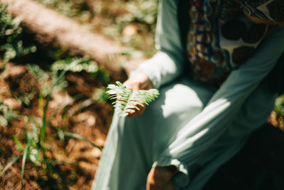 Close-up of woman hand on plant in field