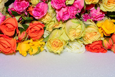 High angle view of multi colored roses