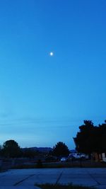 Trees against clear blue sky at night