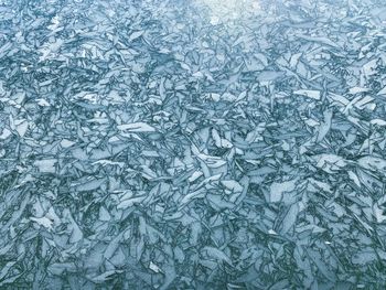 Full frame shot of frozen glass window