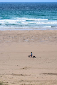 Woman with dogs on beach