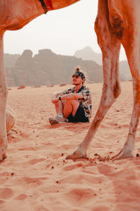 Rear view of camel at beach
