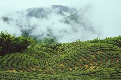 Scenic view of landscape against sky