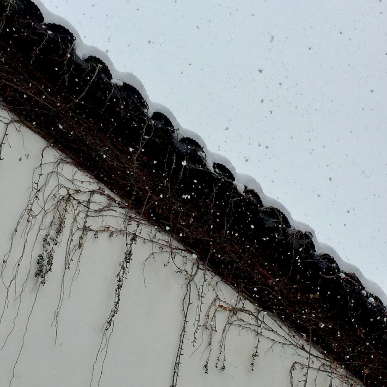 CLOSE-UP OF WATER WITH REFLECTION