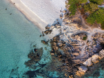 Aerial view of a beautiful beach