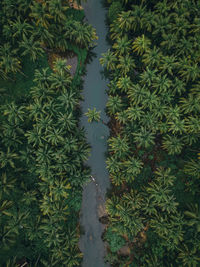 High angle view of river