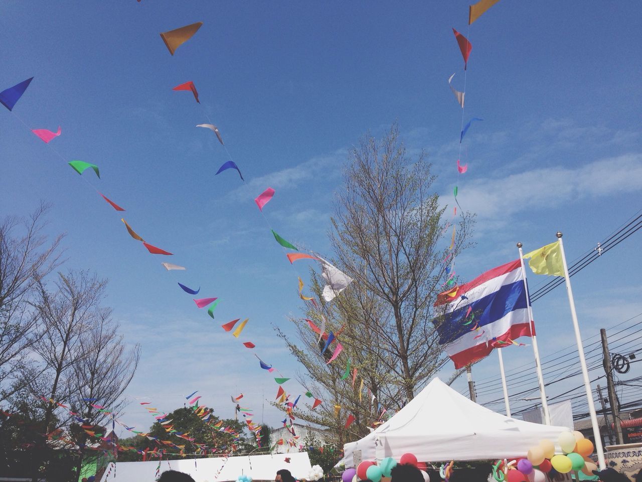 low angle view, flag, tree, patriotism, sky, national flag, identity, flying, multi colored, american flag, celebration, blue, day, wind, hanging, mid-air, clear sky, decoration, outdoors, cloud