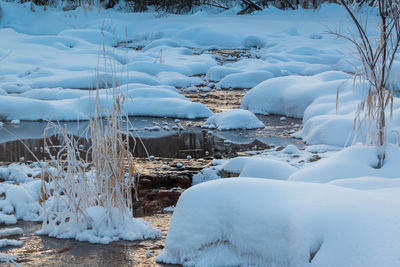 Surface level of frozen lake