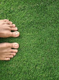 High angle view of man on grassy field