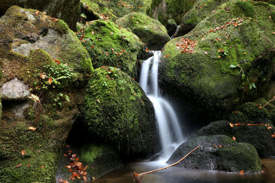 Waterfall at forest