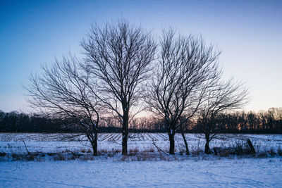 Bare trees on snowy field against sky during winter