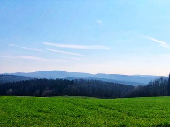 Scenic view of field against sky