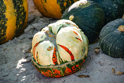 High angle view of pumpkin on shore