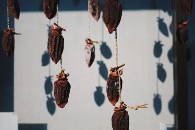 hanging