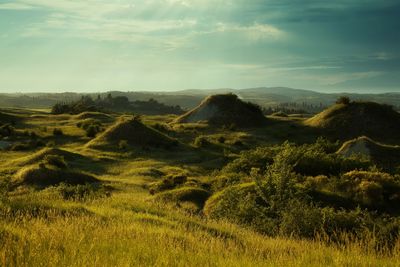 Scenic view of landscape against sky