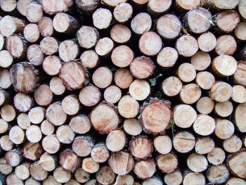 Full frame shot of logs