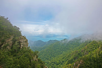 Scenic view of forest against sky