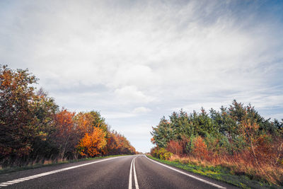 Empty road along trees