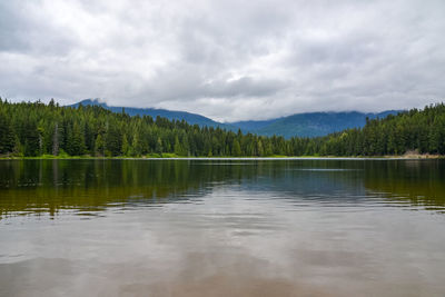 Scenic view of lake in forest against sky