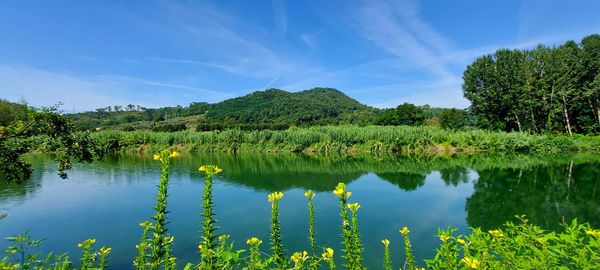 Scenic view of lake against sky