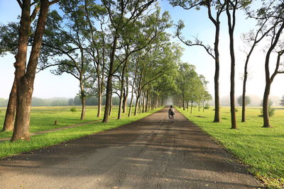 Man walking on road amidst trees against sky