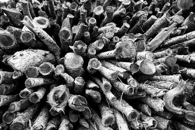 large group of objects