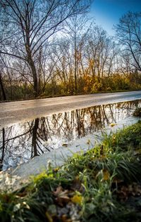 Reflection of bare trees in lake against sky