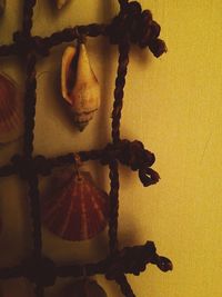 Shadow of tree on the wall