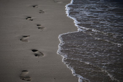 High angle view of surf on beach