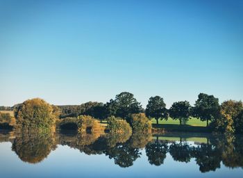 Reflection of trees in lake against clear sky