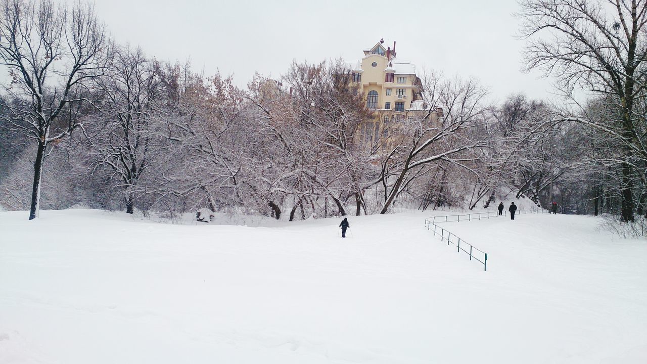 tree, winter, snow, cold temperature, weather, season, tranquil scene, tranquility, snow covered, landscape, nature, clear sky, bare tree, scenics, beauty in nature, park - man made space, branch, day, outdoors, non-urban scene, remote, footpath