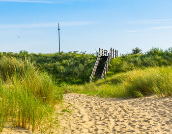 Scenic view of sandy beach against sky