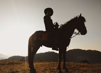 Man riding horse on field against sky