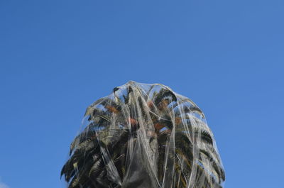 Close-up low angle view of blue sky