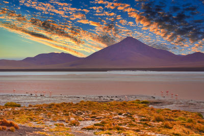 The desolate land of the altiplano plain