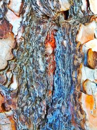 Detail shot of tree trunk