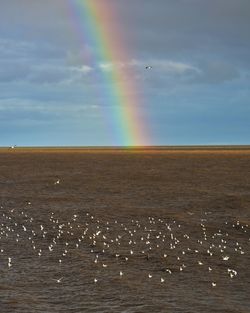 Scenic view of rainbow over sea against sky