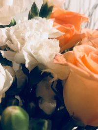 Close-up of flowers in plate
