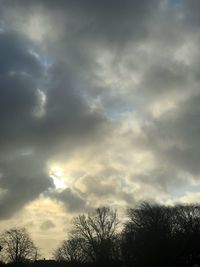 Low angle view of trees against cloudy sky